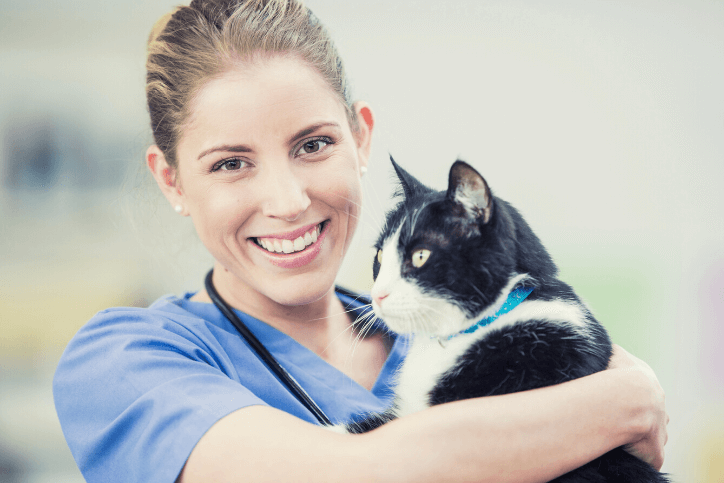 Are you a Vet working towards retirement?