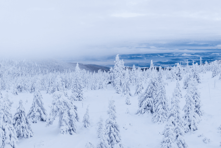 The European Winter is Coming.